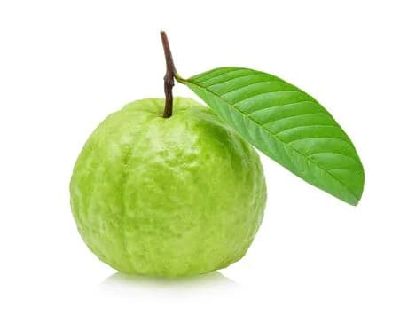 Guava 1pc