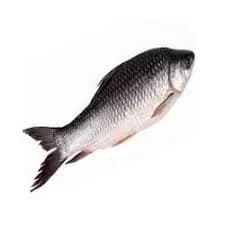Rohu 3kg
