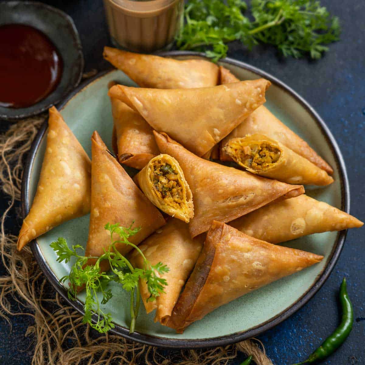 Top category - SAMOSA