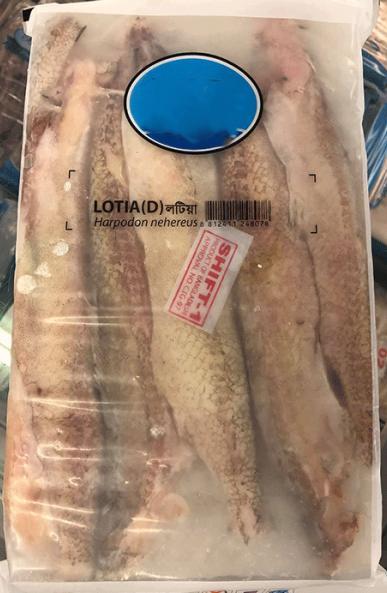 Lotia Fish 500g