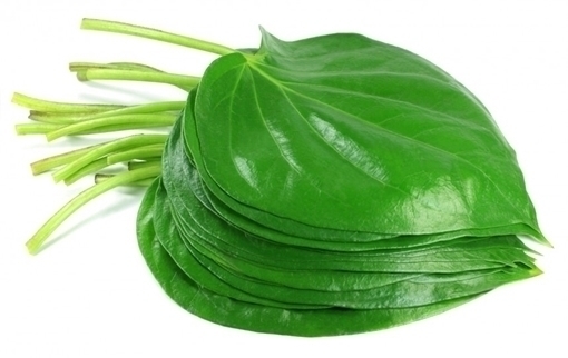 Betel Leaf (Paan)