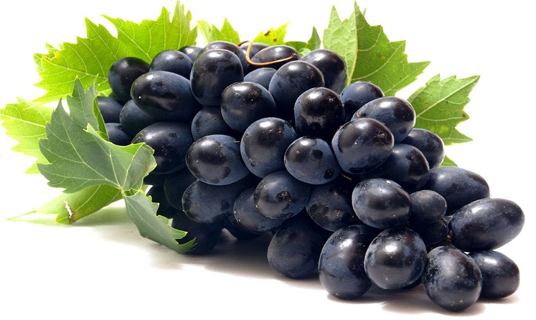 GRAPES BLACK