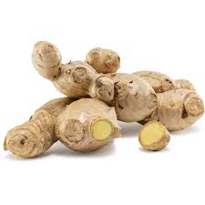 FRESH GINGER