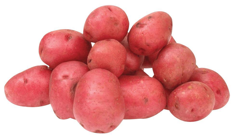 RED POTATO