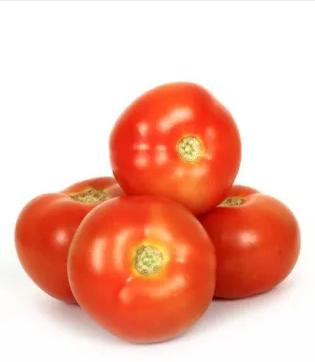 Tomato Regular 1pcs