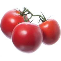 VINE TOMATO